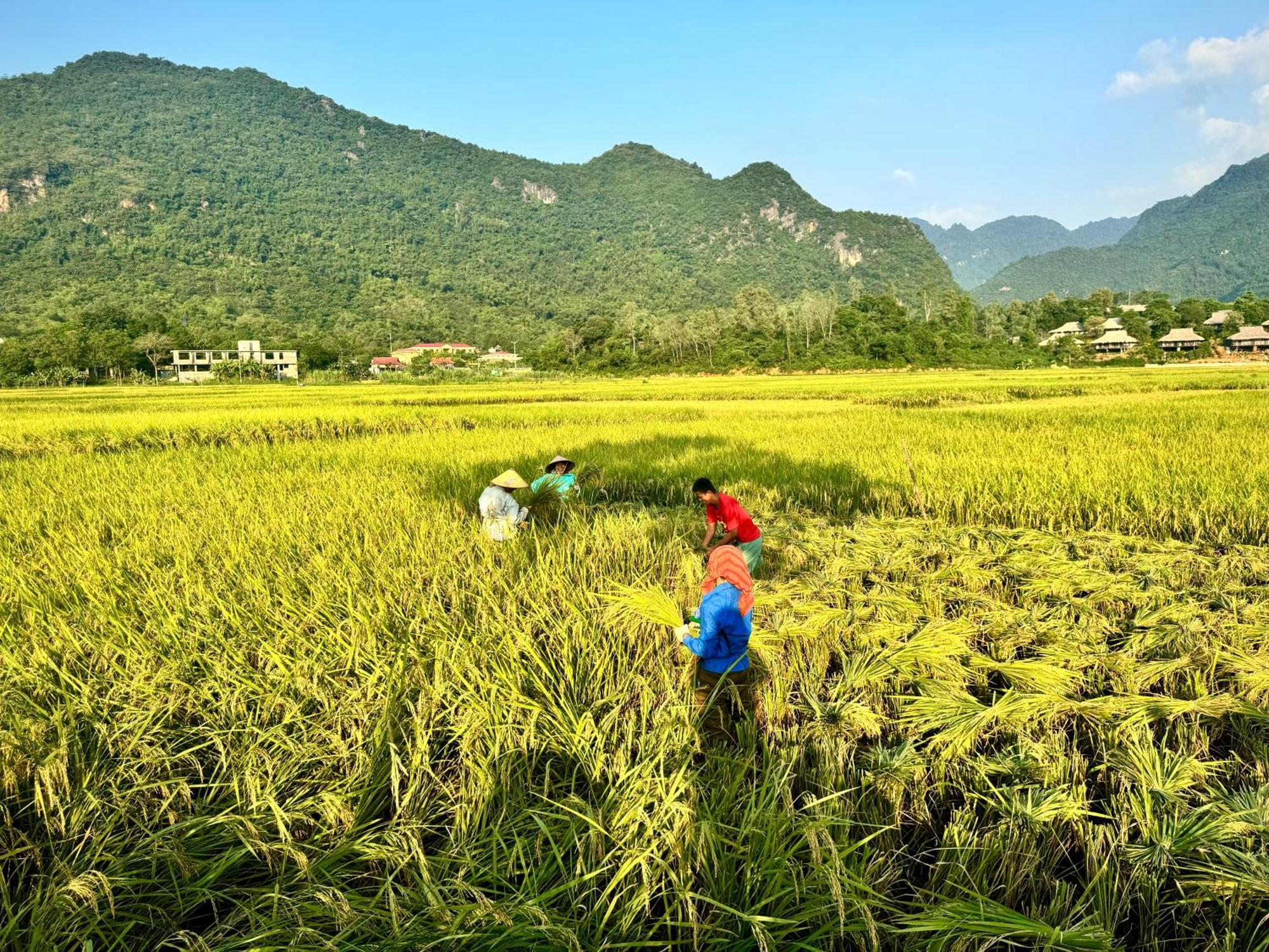 Mai Chau With Love Homestay Ban Bang Exterior foto